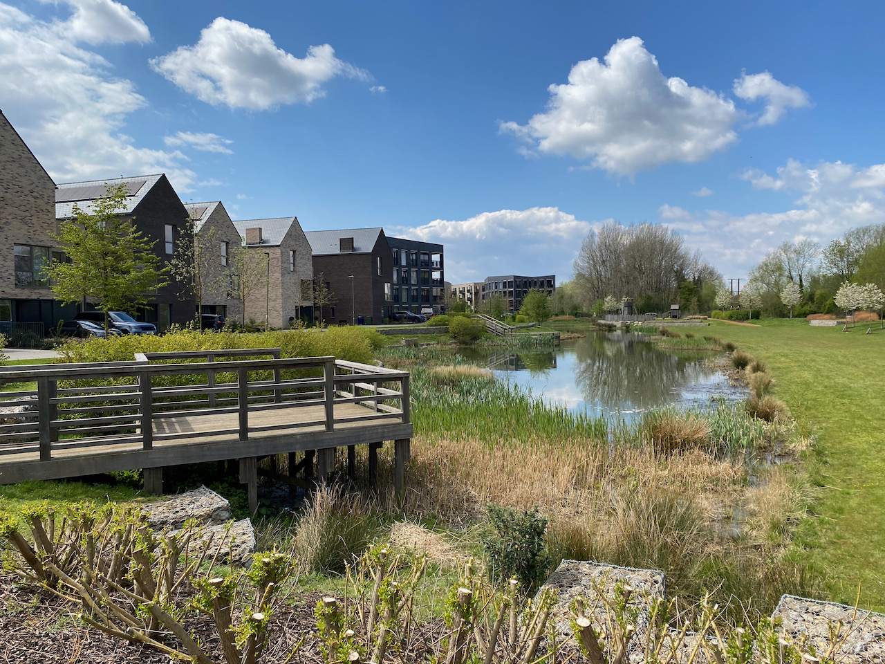 Pond and new housing at Barton Park. Image: Helen Pineo 2021.